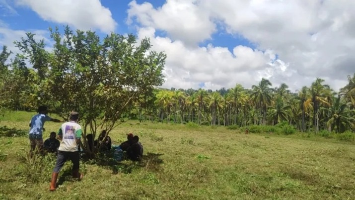 Sekretaris Desa Ocimaloleo dan Mahasiswa UKIM Gelar Pembersihan Lahan untuk Program Ketahanan Pangan